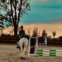 luna_hrt
