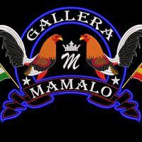 galleramamalo