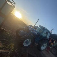 fraser_davidson