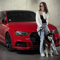 laee_mk1
