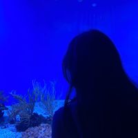 cerisenoir_author