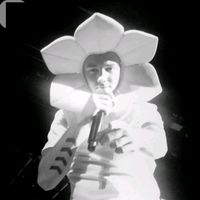 .victoriapayne