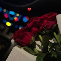 rebe_674