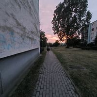 m_sarneckaaa