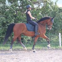 josefine0507