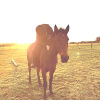 twiggythe_trotter