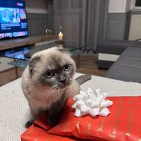 luxurygift5