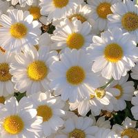 imbrokebutiwantnoodles