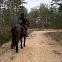 amelia_main190