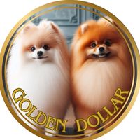 saraygoldendollar