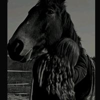 soulhorsediamond