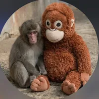 original sound - punchthemonkeyzoo