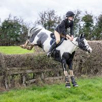my.cob.chavvy