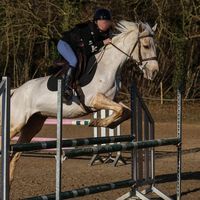 clemence_.riding