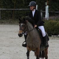 hell.jump.de.lou