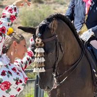 franffdressage