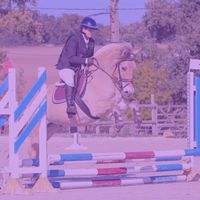 cavaliere.atypique