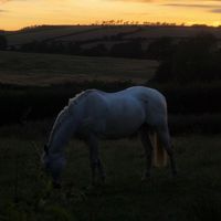 ford_farmer12