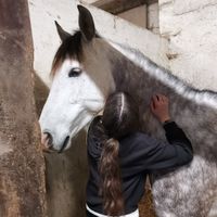 une_cavaliere_01