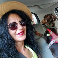feli_nechita