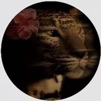 selma_ms1