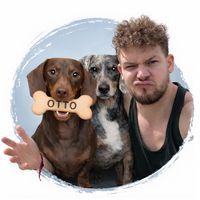 ottothedachsy