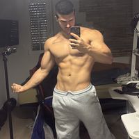 segugym