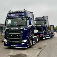 tiernandonn657