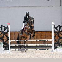sachi_horses
