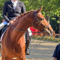 sfs.equestrian_