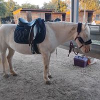 lina.c3412