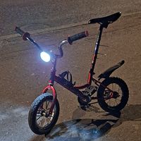 pitbiker299