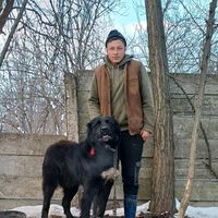 alytrandafir_17