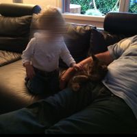 mir_sind_zueri10
