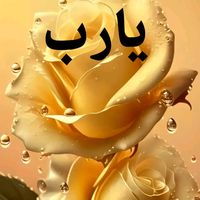 samira06618