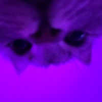 not_post1ng_anymore