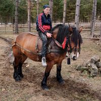 stelian7130