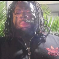 mr_palmer006