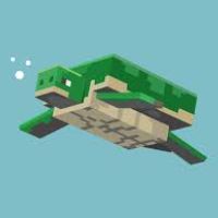 turtle.smp__