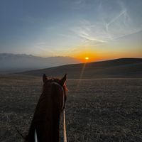 оригинальный звук