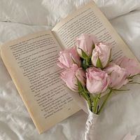 booktok_blumenkapitel