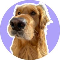 retrieverloads