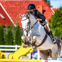 zk_showjumper_