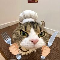tomatocatsu