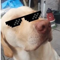 fouldstv