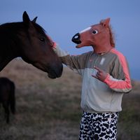 mysteryhorsev