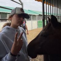 no_equi