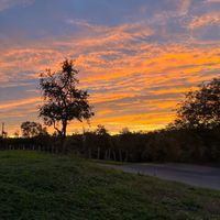 ungarsdu_67