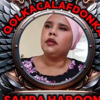 sahrahabon