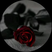 citate_410